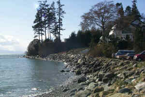 Harbour House