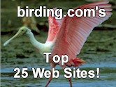 Siskin and Egret's 4 Wings Up Award